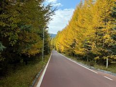 -芦芽山旅游度假区