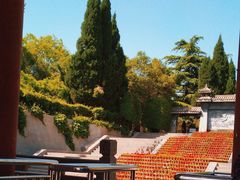 -函谷关历史文化旅游区