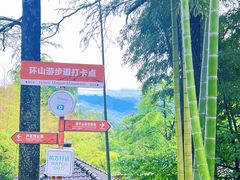 -莫干山风景区