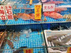 水产区-珠光市场(文德南路)