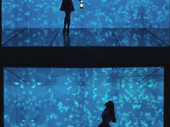-江和美海洋公园