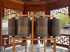-上海东林寺(金山区)