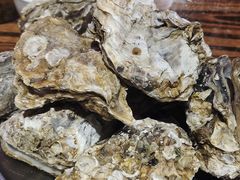 -蚝堡海鲜·威海菜·海肠捞饭·烧烤·亚洲吃蚝公司(幸福门店)
