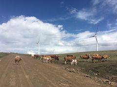 -塞罕坝国家级自然保护区