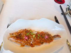 -三号黄浦会Canton Table