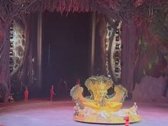 -广州长隆国际大马戏