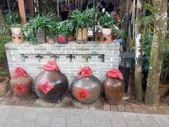 -农厨好味·温泉鹅·农家菜