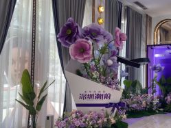 -深圳美莱医疗美容医院