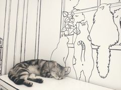 -白夜2D咖啡馆