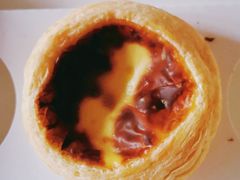 -蒲公英(五里店)