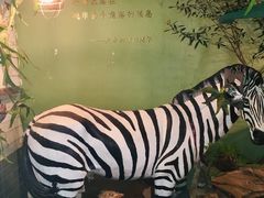 -大水的店(昙华林店)