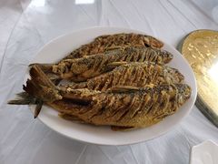 -庆岭迎宾园正宗活鱼馆