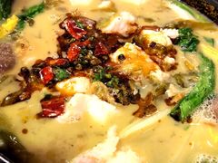 -周鱼小馆石锅酸菜鱼(活力汇店)