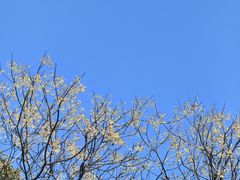 -嵖岈山风景区