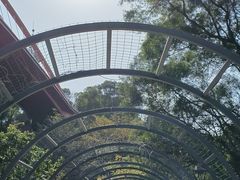 -金鸡山公园