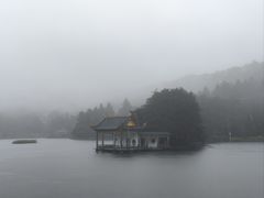 -庐山风景区花径公园