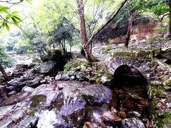 -白云源风景区