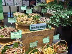 -黔蘑菇四季餐厅(观山湖店)