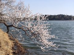 -颐和园