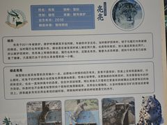 -青藏高原野生动物园