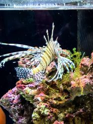 -Zoolung Zoolung动物主题公园(海信广场店)