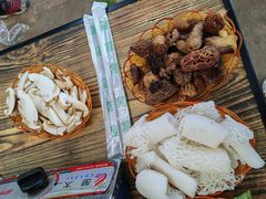 -菌粹源野生菌(木水花市场店)