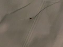 -JOYA湾悦国际酒店(世界之窗店)