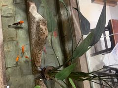-北京清河万象汇