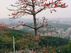 -高榜山景区