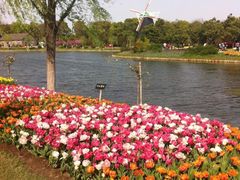 景点-上海鲜花港
