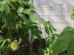 -太阳宫公园