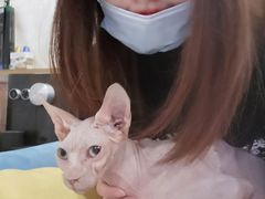 -藦茜花园宠物主题亲子互动体验馆(国顺东路店)