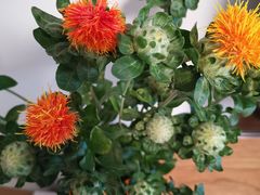 -鹿岛会员店 (龙湖三千集天街店)