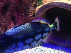 -沈阳海洋探索中心