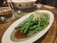 -鸽子窝(青塔店)