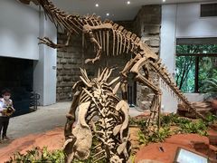 -自贡恐龙博物馆