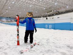 -绍兴启迪乔波冰雪世界