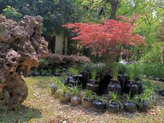 -东方假日田园-停车场