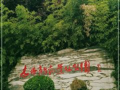 -木塔寺遗址生态公园