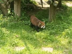 -宁波野生动物园