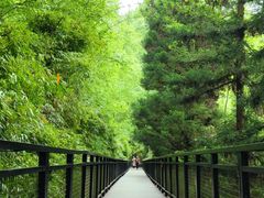 -阿哈湖国家湿地公园