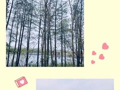 -溱湖国家湿地公园