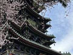 -迎泽公园