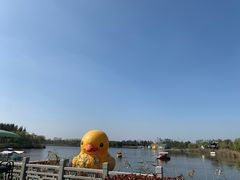 -杭州湾海上花田景区
