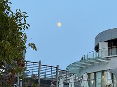 -MONICH牛排融合餐厅(和义大道购物中心店)