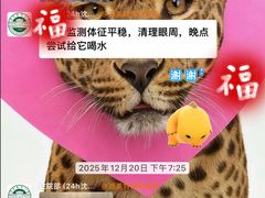 -派美特宠物医院·核磁CT·骨科肿瘤·疑难转诊(沈农禾丰店)
