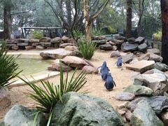 -费瑟代尔野生动物园