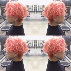 -SALON V