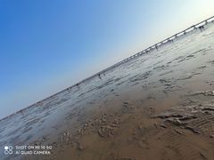 -南汇新城海滩