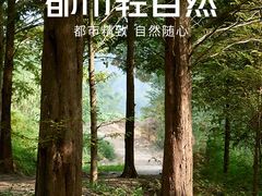 -金鹰国际购物中心(淮安店)